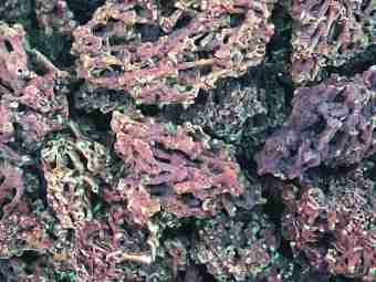 TSP-119  |  SPAGHETTI