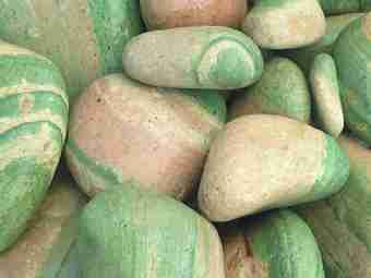 TSP-138  |  GREEN RAINBOW