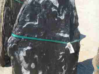 TSP-10M  |  FINDLING