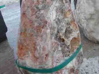 TSP-10N  |  FINDLING