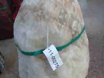 TSP-10O  |  FINDLING