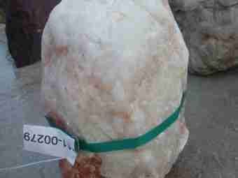 TSP-10P  |  FINDLING