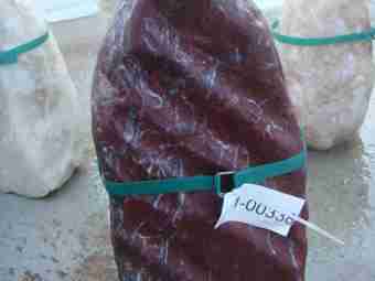 TSP-10U  |  FINDLING