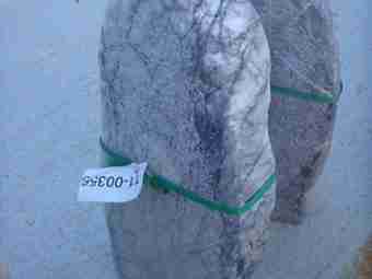 TSP-10X  |  FINDLING