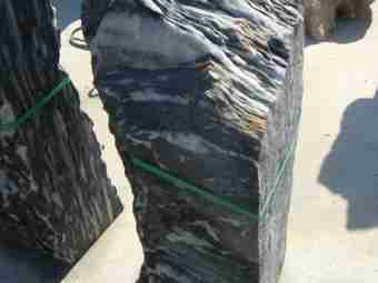 TSP-11C  |  FINDLING