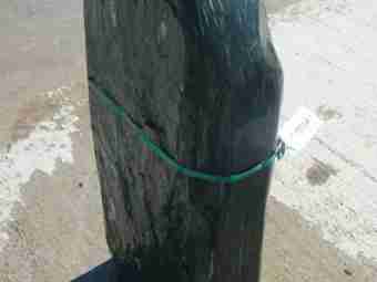 TSP-11E  |  FINDLING