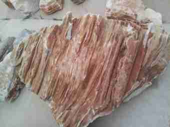 TSP-11F  |  FINDLING