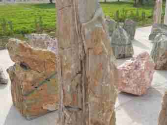 TSP-11P  |  FINDLING