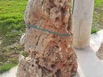 TSP-11R  |  FINDLING