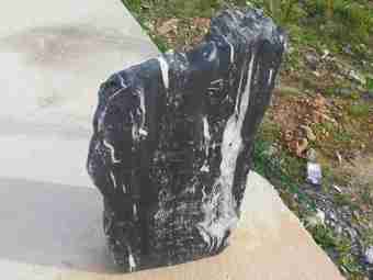 TSP-11V  |  FINDLING