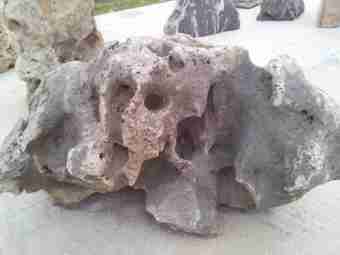 TSP-11X  |  FINDLING