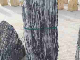 TSP-12B  |  FINDLING