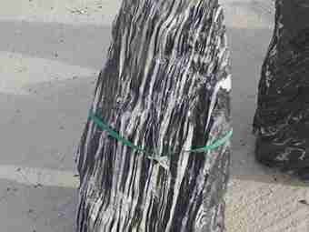 TSP-12C  |  FINDLING