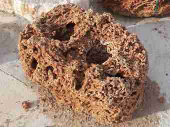 TSP-12E  |  FINDLING