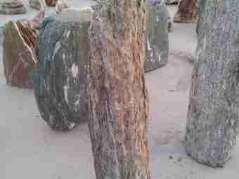 TSP-12F  |  FINDLING