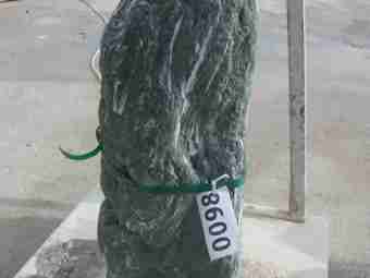 TSP-12K  |  FINDLING