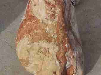 TSP-12P  |  FINDLING