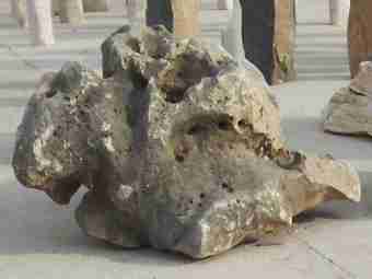 TSP-12Q  |  FINDLING