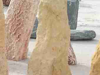 TSP-12R  |  FINDLING