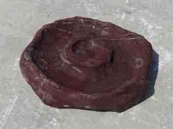 TSP-14T  |  VOGELTRÄNKE