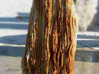 TSP-14Z  |  FINDLING