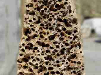 TSP-15C  |  FINDLING