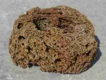 TSP-15F  |  FINDLING