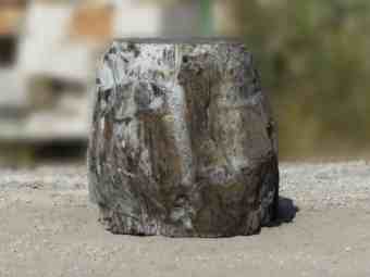 TSP-16D  |  VERSTEINERTES HOLZ