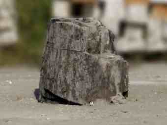 TSP-16U  |  VERSTEINERTES HOLZ