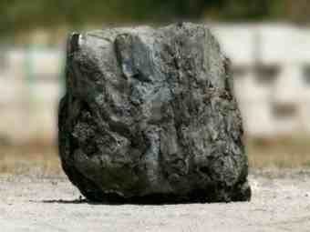 TSP-17I  |  VERSTEINERTES HOLZ