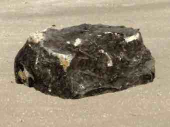 TSP-17K  |  VERSTEINERTES HOLZ