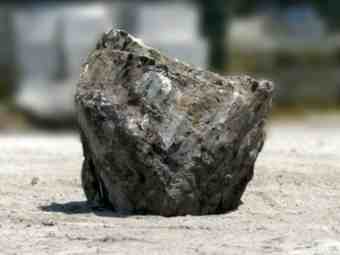 TSP-17W  |  VERSTEINERTES HOLZ