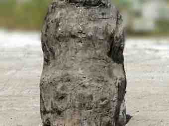 TSP-17Z  |  VERSTEINERTES HOLZ